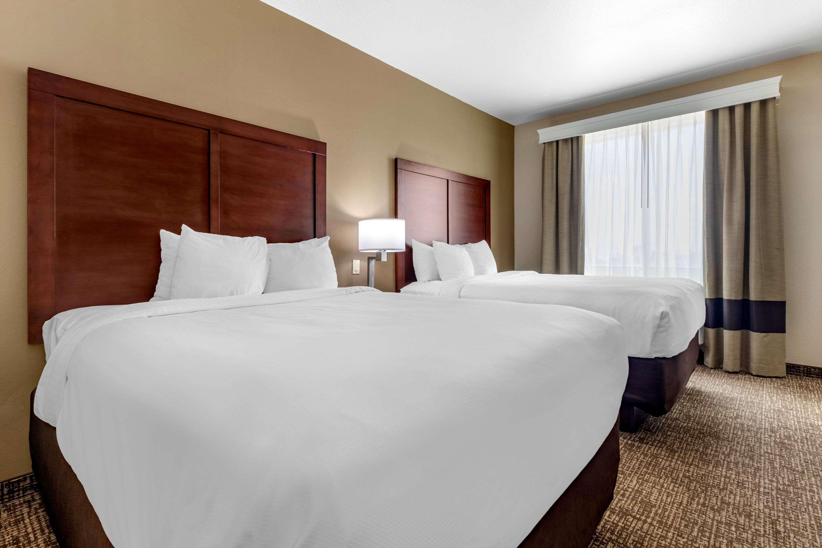 Comfort Inn&Suites Near Lake Lewisville Corinth Eksteriør bilde